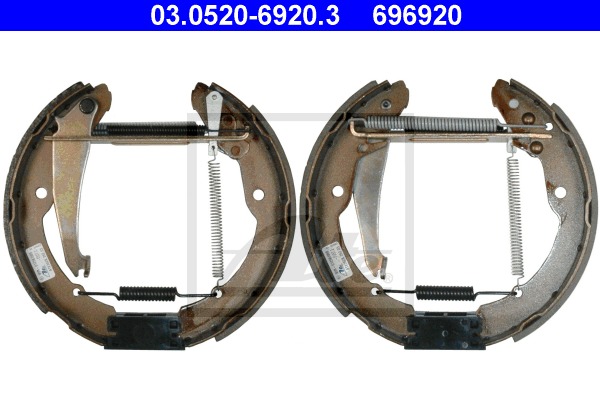 Sada brzdových čeľustí CONTINENTAL TEVES (ATE) (03.0520-6920.3)