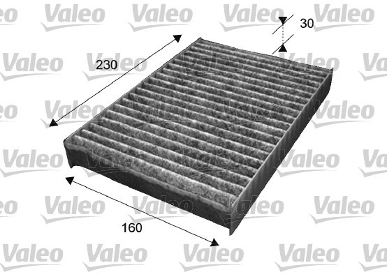 CLIMFILTER PROTECT Valeo Service (715538)