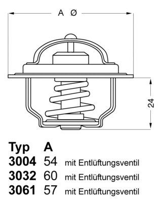 Termostat chladenia BorgWarner (3032.88)