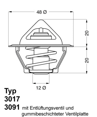 Termostat chladenia BorgWarner (3017.87D2)