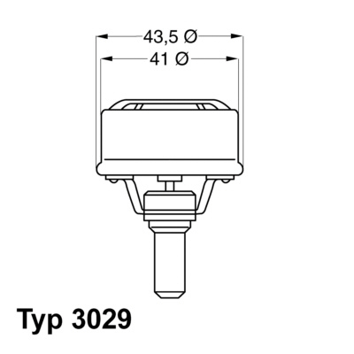 Termostat chladenia BorgWarner (3029.89)