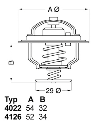 Termostat chladenia BorgWarner (4126.88)