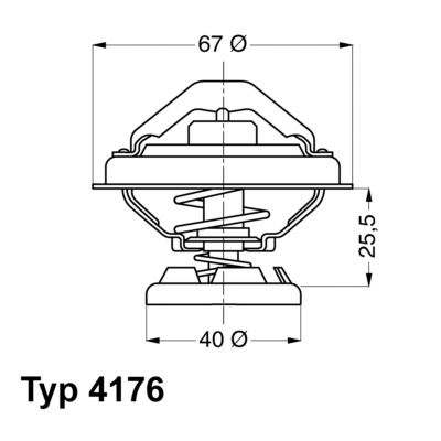 Termostat chladenia BorgWarner (4176.85D)