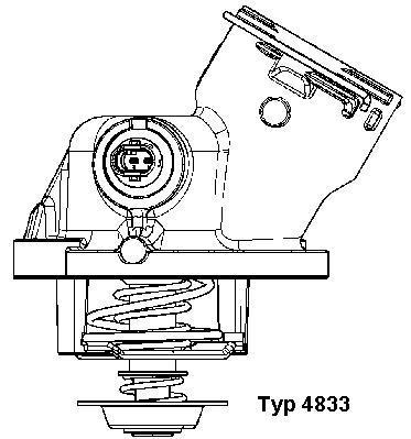 Termostat chladenia BorgWarner (4833.100D)